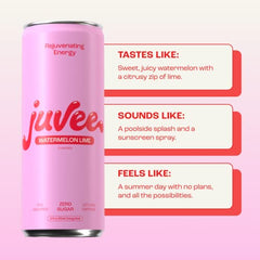 Energy Drink Variety Pack, Kiwi Strawberry & Watermelon Lime, Zero Sugar, 12 oz Cans, 24 Pack