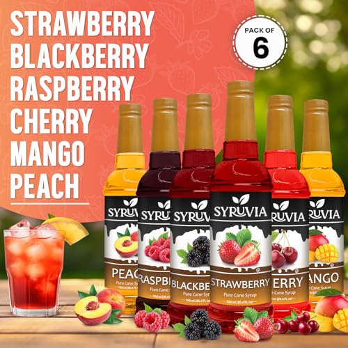 Syruvia Variety Pack Gluten-Free, Kosher, 25.4 fl oz Bottles