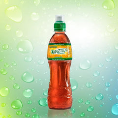 Jasmine Iced Tea, Ready-to-Drink, 500ml Bottles, 24 Pack