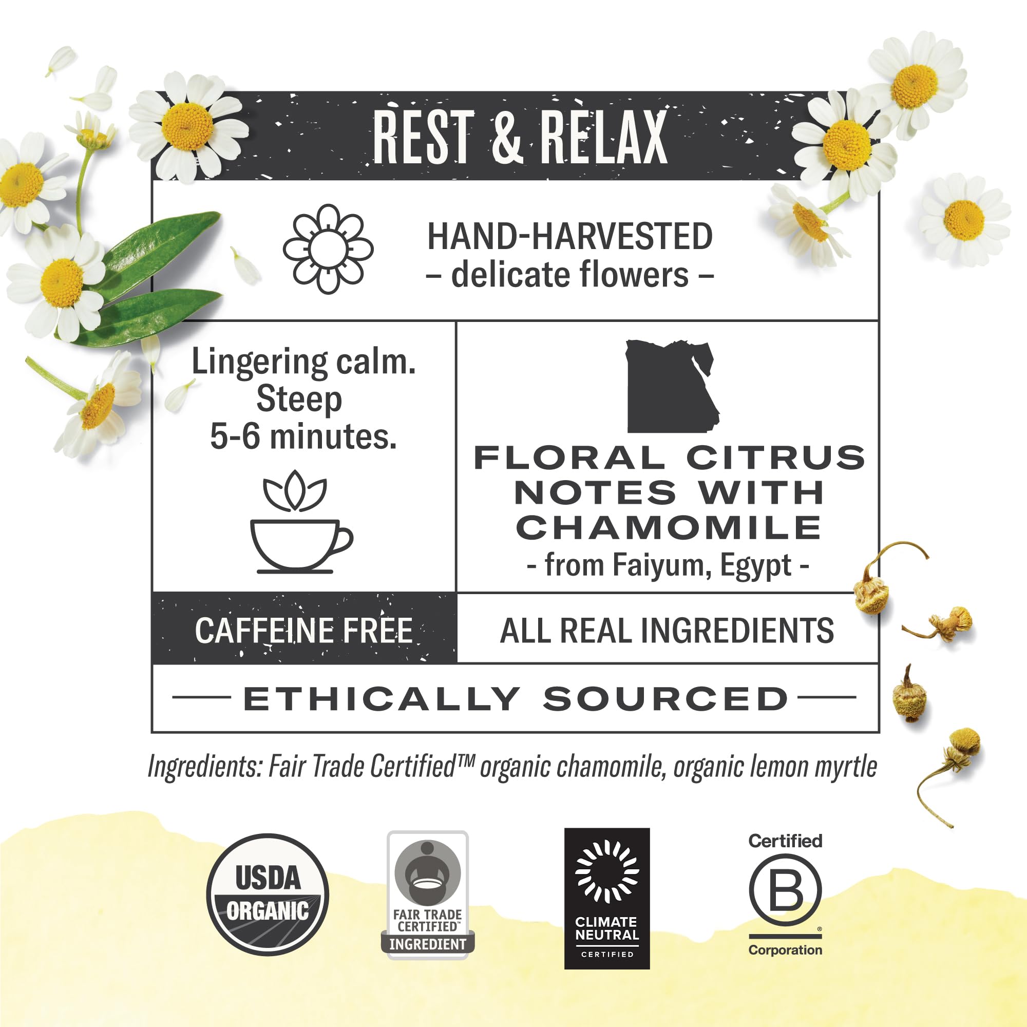 Numi Organic Herbal Wellness Teas
