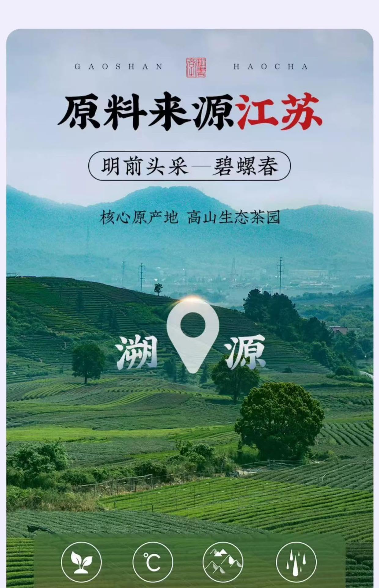 Yinghong No. 9 Black Tea, Loose Leaf, Rich Aroma