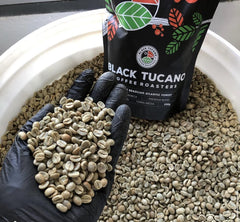 Brazilian Medium Roast Whole Bean Coffee, Premium Blend, 24 × 250g (6kg)