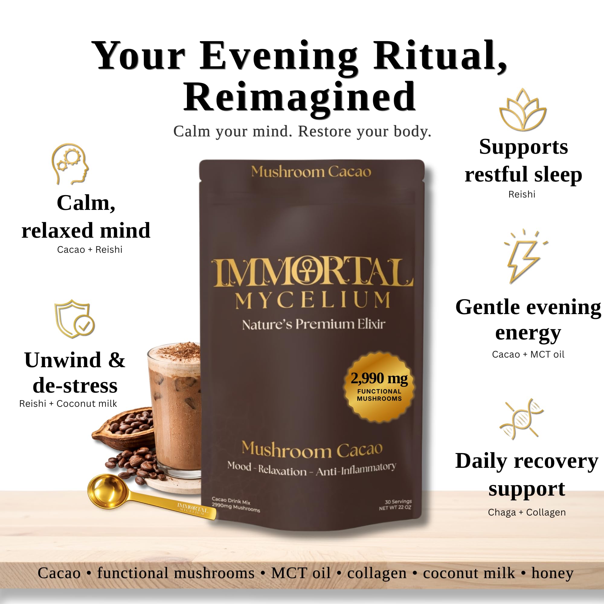 Mushroom Cacao Drink Mix with Reishi & Chaga, 30 Servings