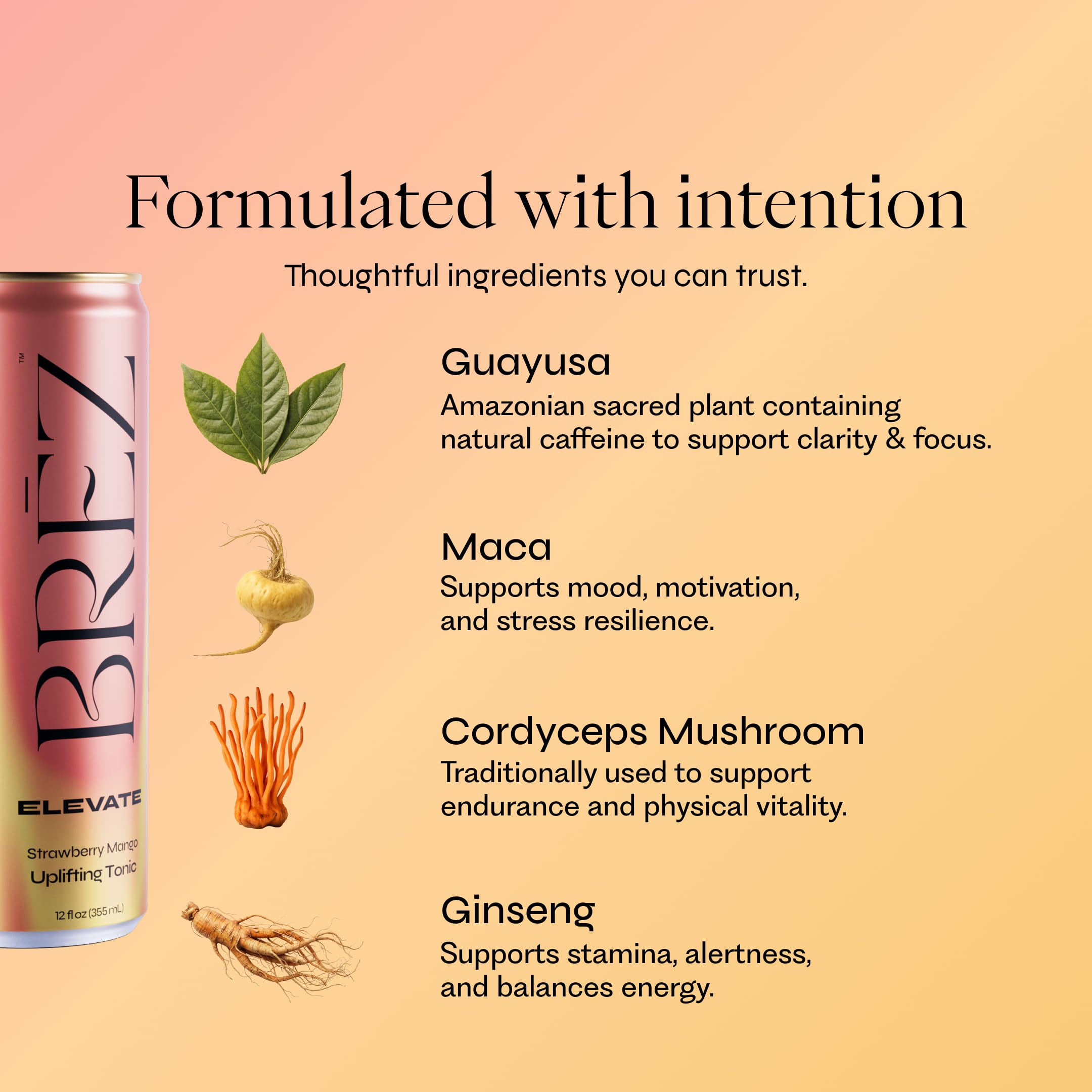BRĒZ Mushroom Drink Variety Pack