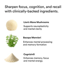 Energy & Focus Drink Shots with Matcha, Functional Mushrooms, Ashwagandha, Vitamins B12 & C, 2 fl oz