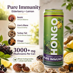 Hongo Functional Mushroom Tea, 24 Can Case, 12 fl oz Cans - Choose Flavor