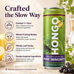 Hongo Functional Mushroom Tea, 24 Can Case, 12 fl oz Cans - Choose Flavor
