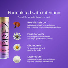 BRĒZ Mushroom Drink Variety Pack