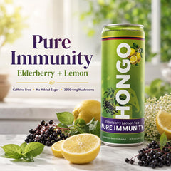 Hongo Functional Mushroom Tea, 24 Can Case, 12 fl oz Cans - Choose Flavor