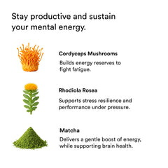 Energy & Focus Drink Shots with Matcha, Functional Mushrooms, Ashwagandha, Vitamins B12 & C, 2 fl oz