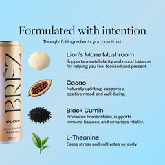 BRĒZ Mushroom Drink Variety Pack