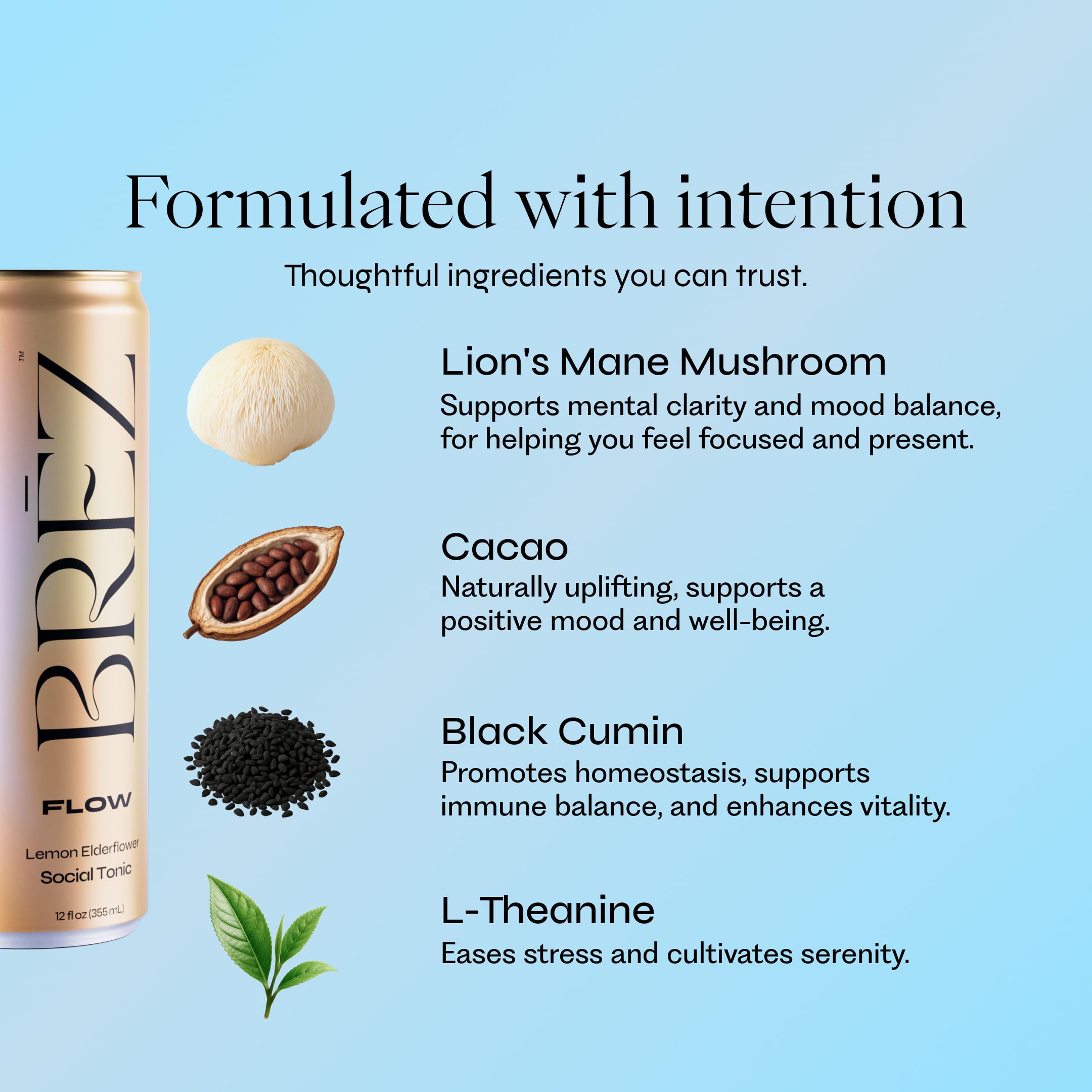 BRĒZ Mushroom Drink Variety Pack