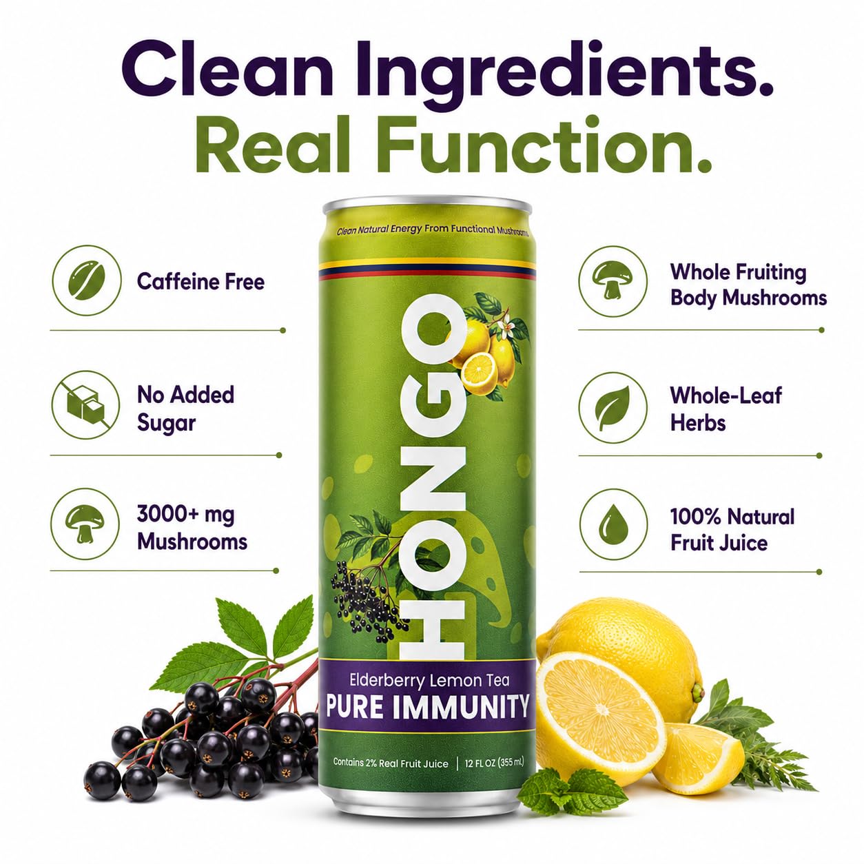 Hongo Functional Mushroom Tea, 24 Can Case, 12 fl oz Cans - Choose Flavor