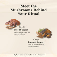 Mushroom Cacao Drink Mix with Reishi & Chaga, 30 Servings