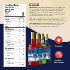 Torani Syrup Variety Packs