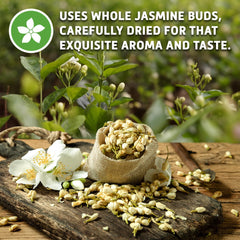 Loose Leaf Tea Gift Set with Infuser, Jasmine Green & Pine Needle Tea, 8oz