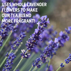Pine Needle & Earl Grey Lavender Loose Leaf Tea Set, 8oz