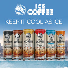 Ready-to-Drink Iced Coffee Cappuccino, 24 × 250ml Cans