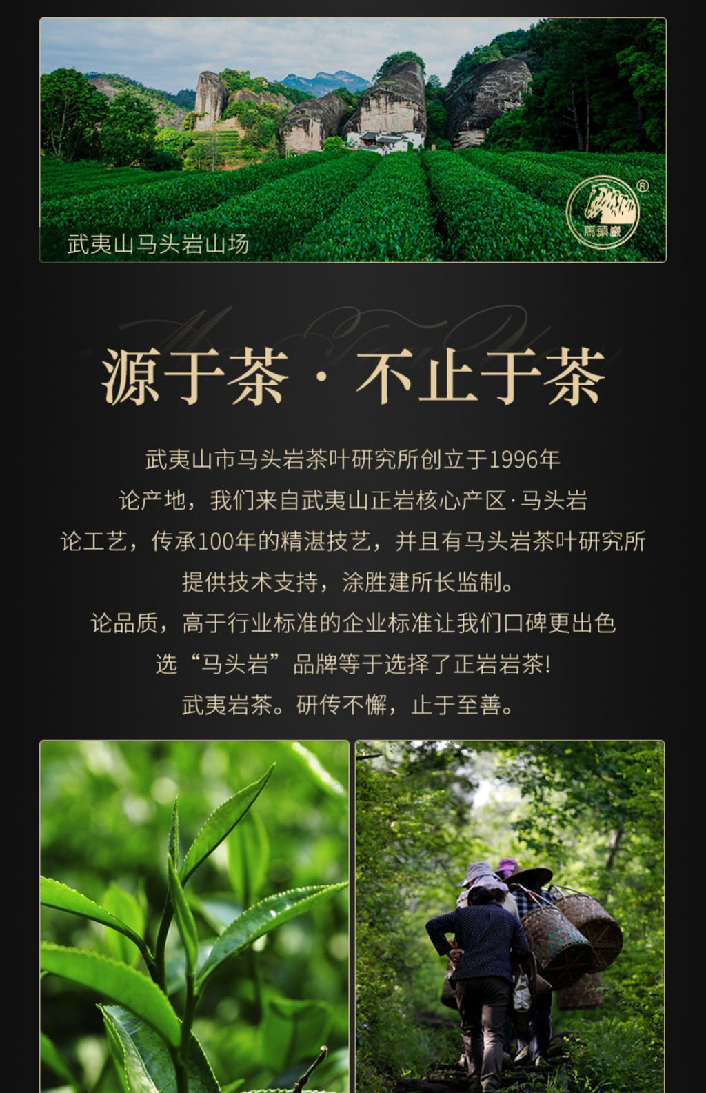 Wuyuanjian Rou Gui Oolong Tea Gift Box, 108g