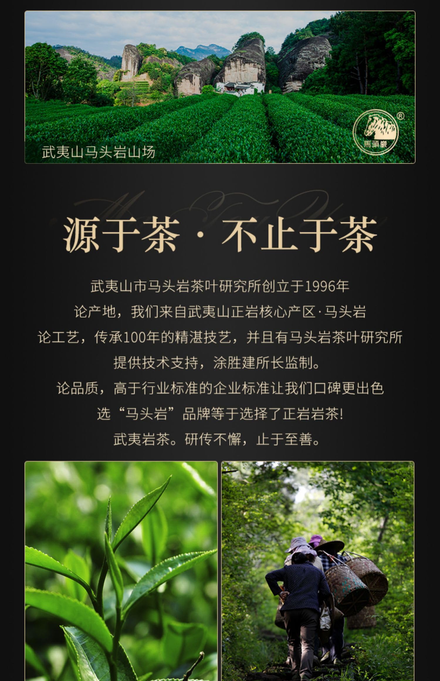 Wuyuanjian Rou Gui Oolong Tea Gift Box, 108g